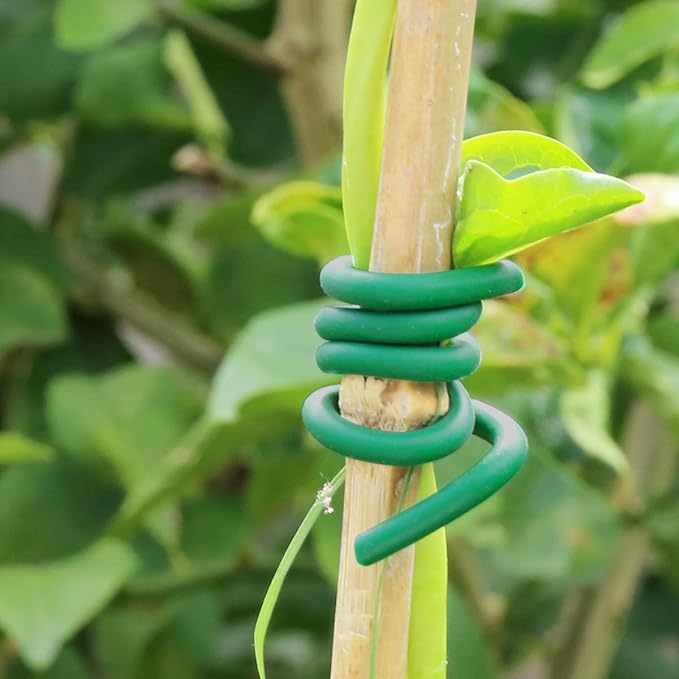 Decoroca Soft Plant Ties for Support - Image 5
