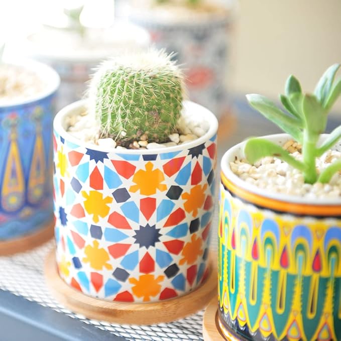6 Pack Mandala Succulent Plant Pot - Image 5