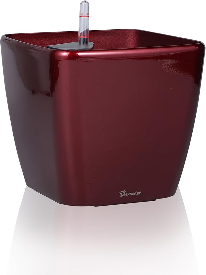 Dexceder 11x10 Self Watering Planter Indoor Outdoor, Inner Mat Design, by Dexceder