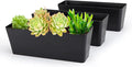 GREANER Black Rectangle Window Boxes, 3 Pack 12x3.8 Inch Herb Planters by GREANER