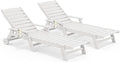 SERWALL Patio Chaise Lounge Chair Set of 2, Poly Lounge Chair by SERWALL