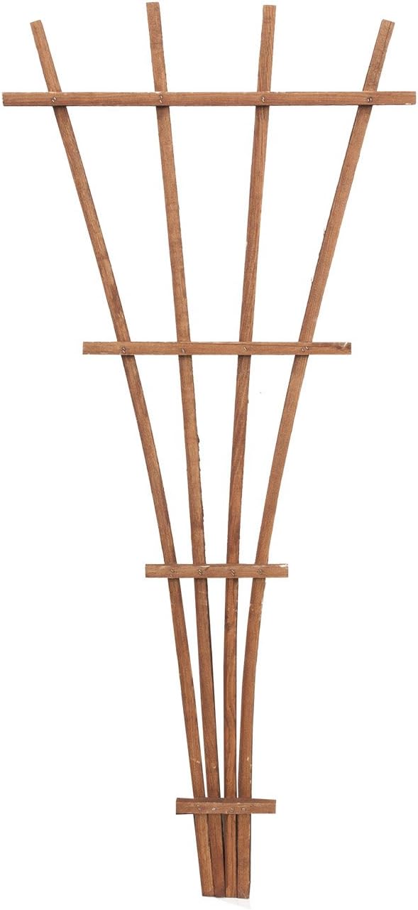 Panacea 83737 48" Brown Wood Fan Trellis by Panacea