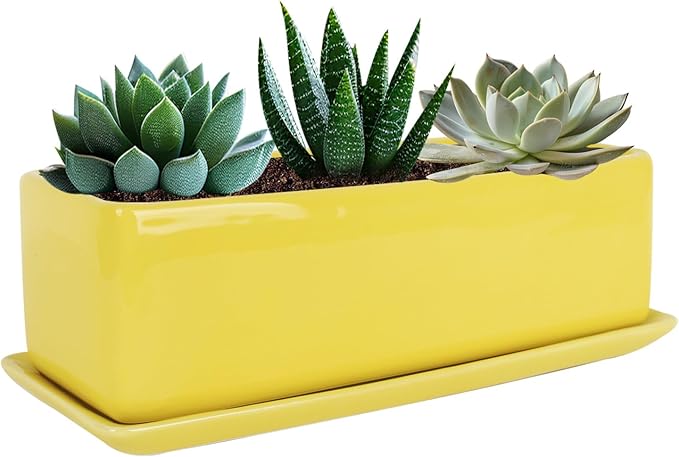 Vencer 14 Inch Rectangular Modern Minimalist Ceramic Succulent Planter Pot by Vencer