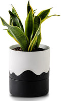 Nihow Self Watering Plant Pot: 6 Inch Ceramic Planter by Nihow