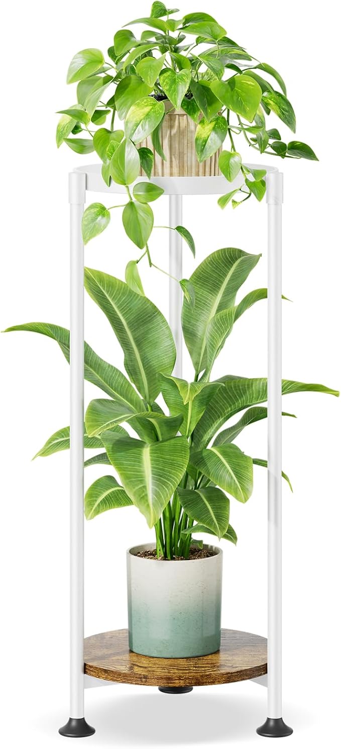 iDavosic.ly 2 Tier Corner Plant Stand Indoor, 30 Inch Tall Vertical Metal by iDavosicly
