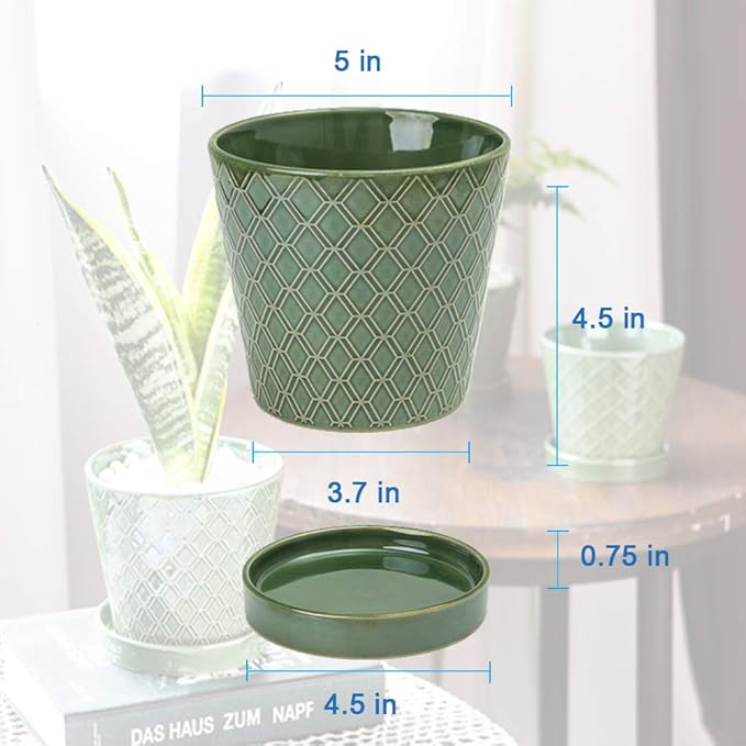 BUYMAX Plant Pots Indoor –5 inch Ceramic Flower Pot - Image 6