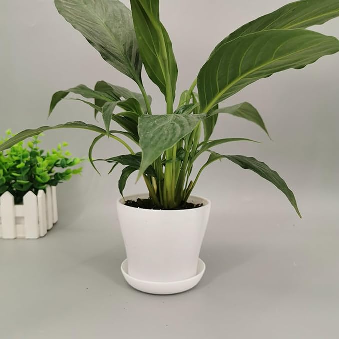 Tergy 50 Pack 4 Inch Plant Pots Bulk Small Plastic Planters Pots - Image 6