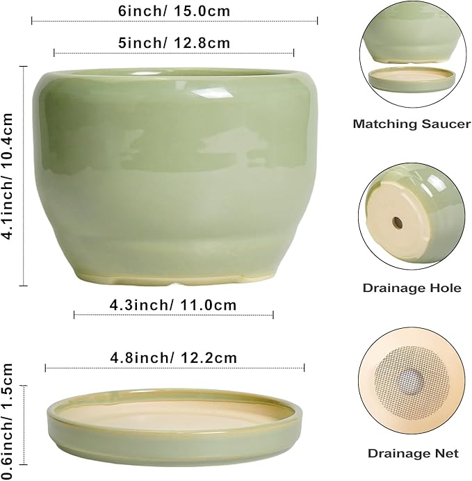 SQOWL Ceramic Pot for Plants - Image 3