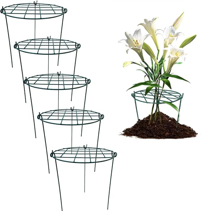 MTB Supply 5 Pack 16 x 24 inch Peony Cages, Grow Through Plant Support Stakes by MTBSUPPLY