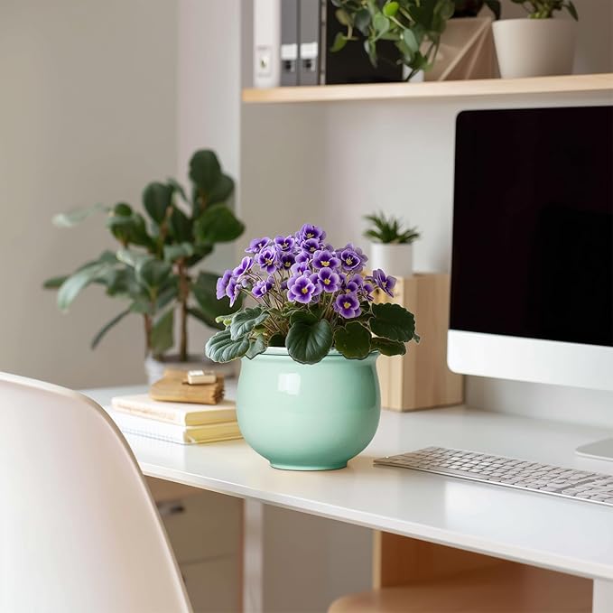 6 Inch African Violet Pots, Ceramic Self Watering Planter - Image 3