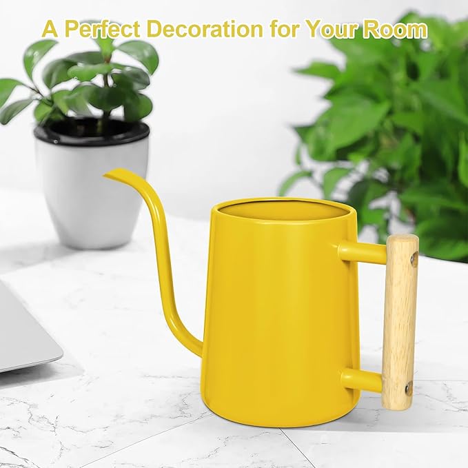 Watering Can Indoor Plants, 35 oz/1000 ml Metal Stainless Steel Watering Can Pot - Image 8