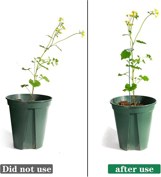 12 Pack Plant Stakes, Plant Support Stakes - Image 4