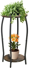Plant Stand Indoor, 2 Tier Tall Wood Plant Stand, 4-Leg Floor Corner Plant by Elevateyourspacenaturally