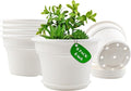 6 Inch Plastic-Flower Pot-for-Indoor Plants, 6 Pack Outdoor Plant Pots by Pottiffe