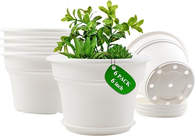6 Inch Plastic-Flower Pot-for-Indoor Plants, 6 Pack Outdoor Plant Pots by Pottiffe