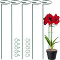 HiGift 17 inch Plant Support Stakes, 4mm Thick Garden Single Stem Flower by HiGift