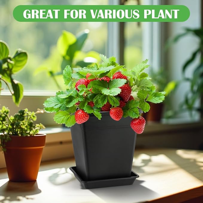 BTPLASTIK 9 Inch Square Planters - Image 6