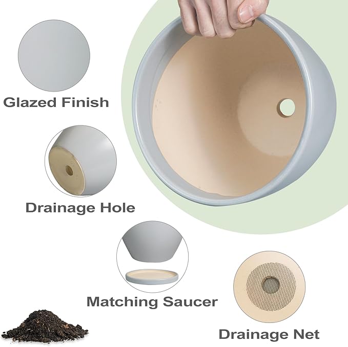 Ceramic Pots for Plants - Image 6
