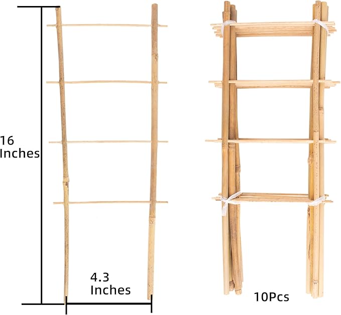 Avalution 10 Pack Natural Bamboo Trellis - Image 3