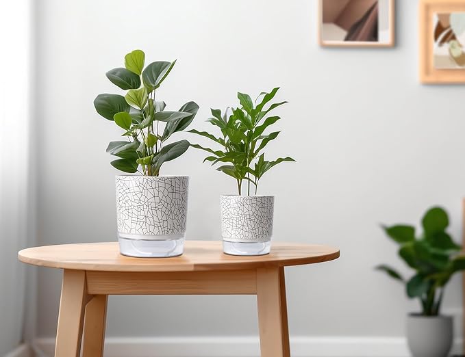 Self Watering Pots for Indoor Plants, 5 & 4 Inch Stylish Flower Pots - Image 6