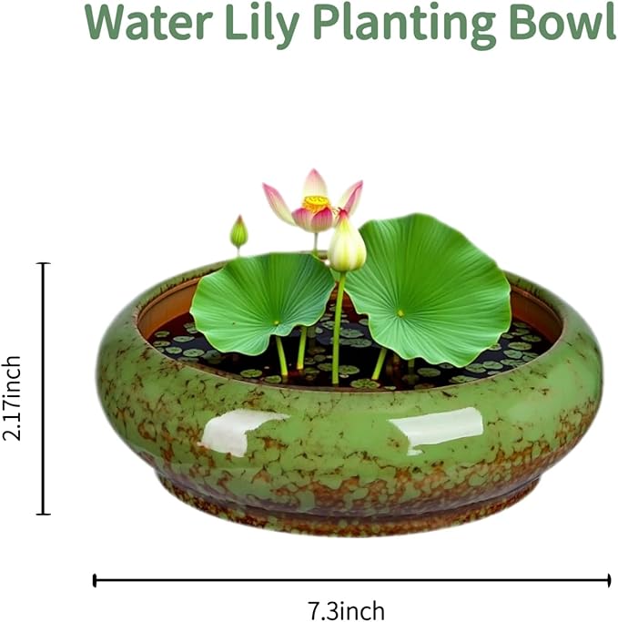 7.3 Inch Succulent Planters Pots Shallow Ceramic Glazed Planter Pots, Lotus - Image 2