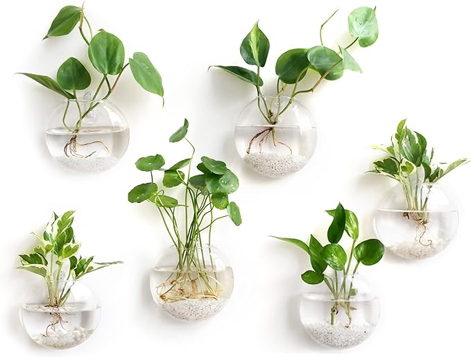 Mkono Wall Hanging Glass Terrariums Planter Oblate Flower Vase by Mkono