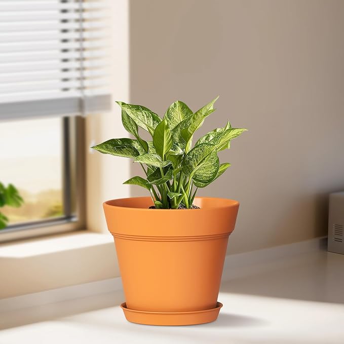 4 Inch Plastic Plant Pots with Drainage Holes and Trays – 8 Pack Small Nursery - Image 2