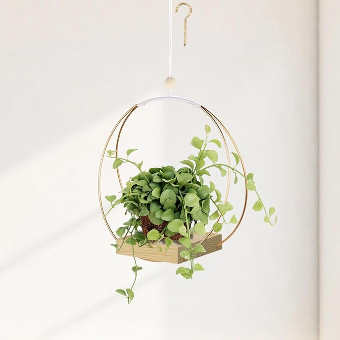 Hanging Planters for Indoor Plants by Adnkwolivt