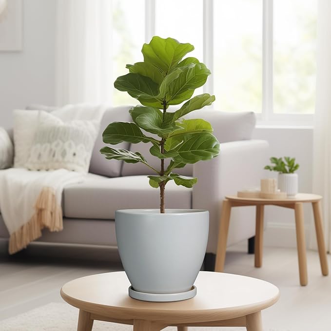 Ceramic Pots for Plants - Image 4