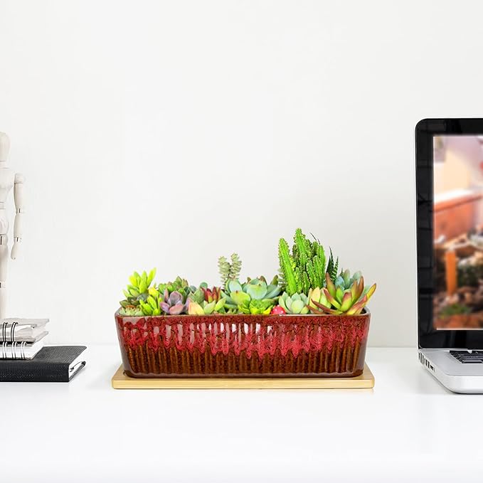 Succulent Pots - 12 Inch Large Succulent Planters - Image 5