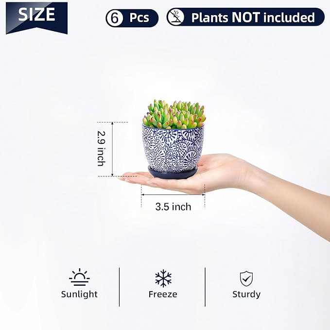 Selamica Ceramic Succulent Pots, 3.5 Inch Small Plant Pots - Image 3