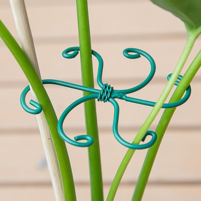 Monstera Plant Stem Support - Image 6