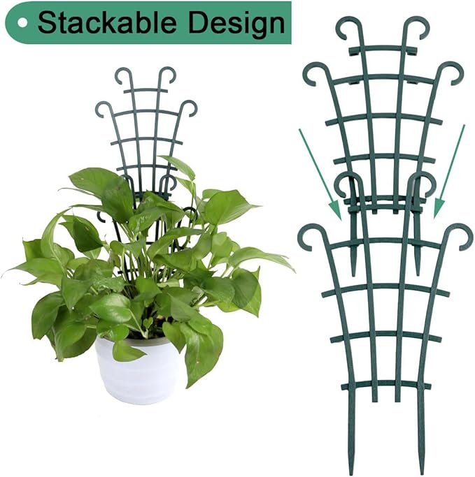 Indoor Small Trellis - Image 3
