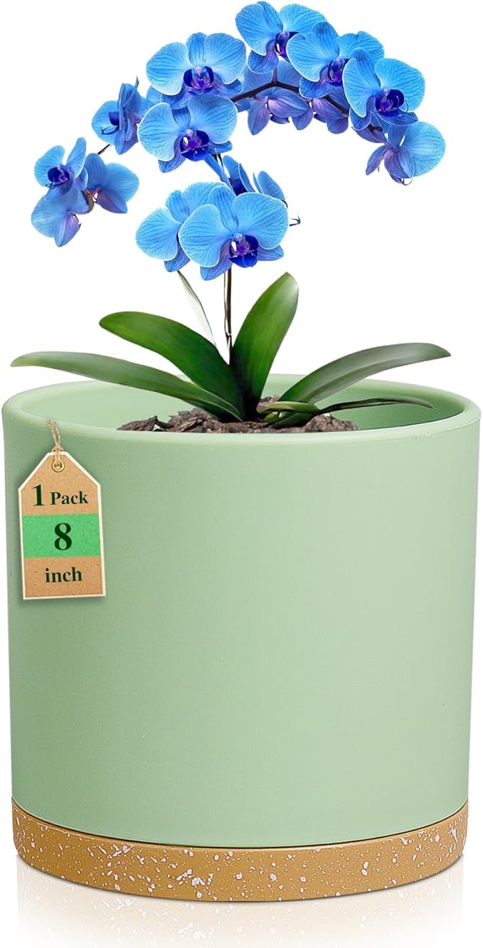 8 Inch Medium Flower Pots for Indoor Outdoor Plants, Cylinder Deep Plant Pots by WSMKSZ