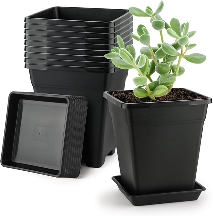 BTPLASTIK Square Plastic Planter 8 Inch, Plant Pots by BTPLASTIK