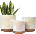 Gepege White Indoor Pots for Plants, Ceramic Planter by Gepege