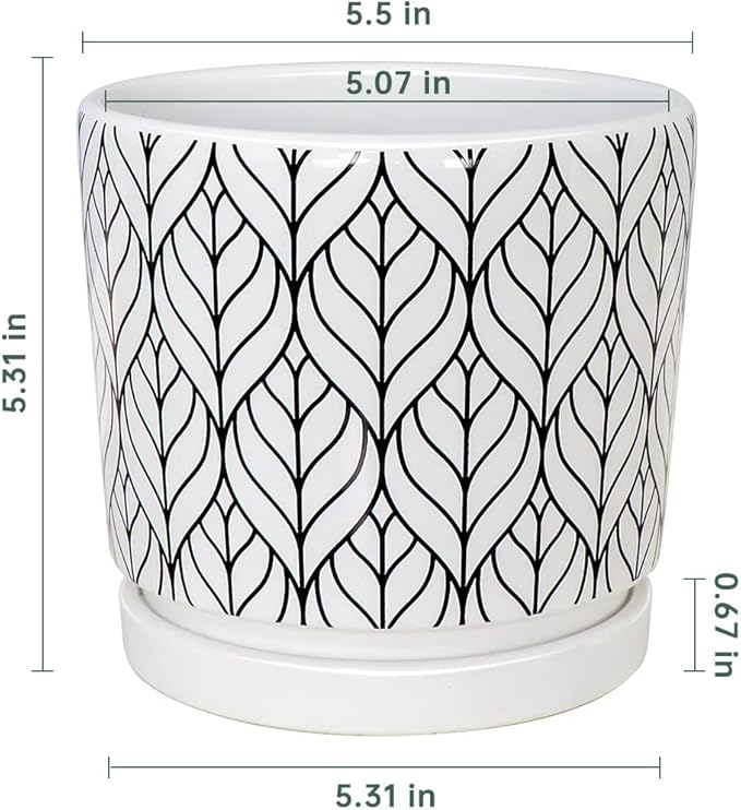 Ton Sin Plant Pots, 5.5 Inch White Pots - Image 2
