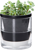 D'vine Dev 4 Inch Design Self Watering Planter by DvineDevPlanterPotsandStand
