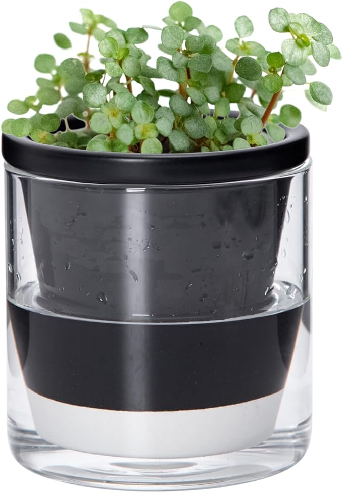 D'vine Dev 4 Inch Design Self Watering Planter by DvineDevPlanterPotsandStand