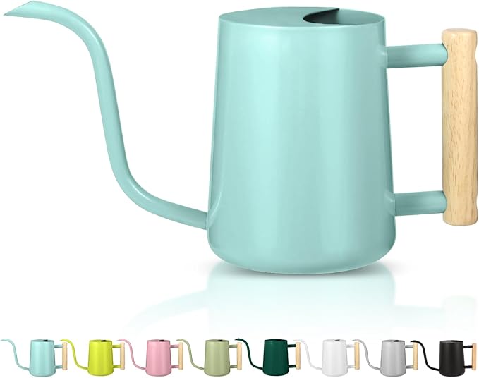Watering Can Indoor Plants, 35oz Small Indoor Stainless Steel Metal Watering by GUKJOB
