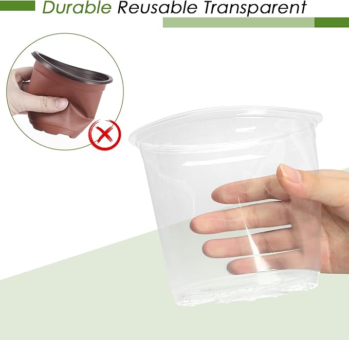 6 Inch Clear Nursery Pots for Plants - Image 5