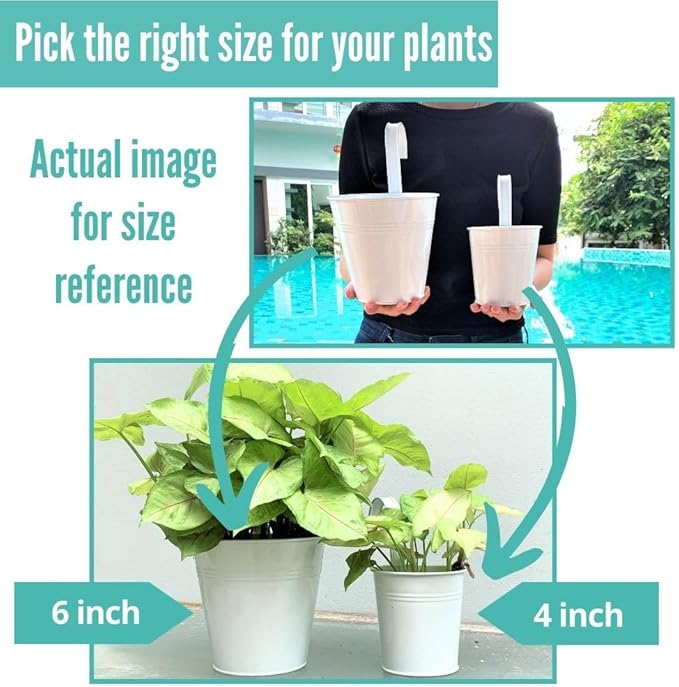 LaLaGreen Hanging Planters - Image 7