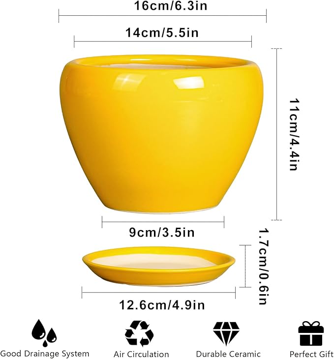 Ceramic Pot for Plants - Image 3