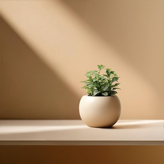 Ceramic Self Watering Plant Pot | 6.8 Inch Pot - Image 7