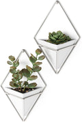 Umbra Trigg Hanging Planter Vase Wall Decor, Faux Plants, and More by Umbra