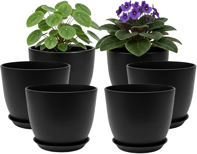 Plant Pots 8 Inch Set of 6, Flower Pots by Vanslogreen