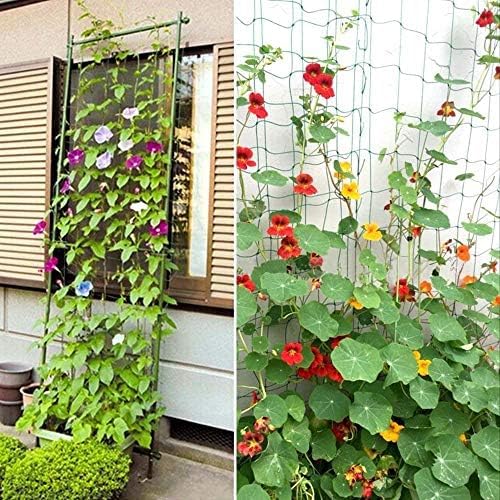 Pack of 2 Cucumber Tomato Trellis Netting, Heavy Duty Garden Netting - Image 5