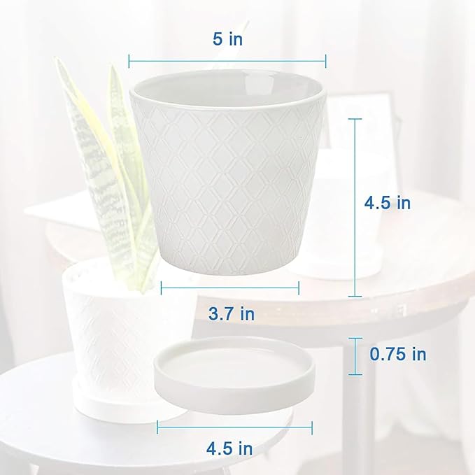 BUYMAX Plant Pots Indoor –5 inch Ceramic Flower Pot - Image 5