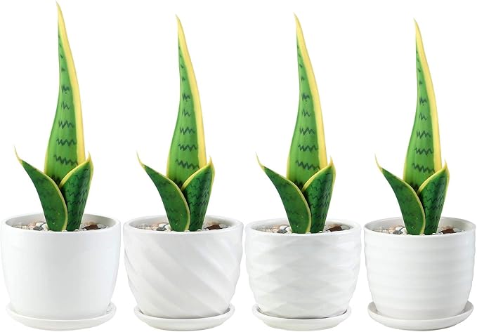 Plant Pots - 4.7 Inch Cylinder Ceramic Planters - Image 4