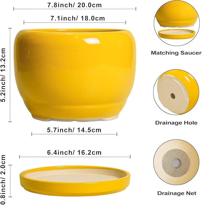 SQOWL Ceramic Plant Pot - Image 3